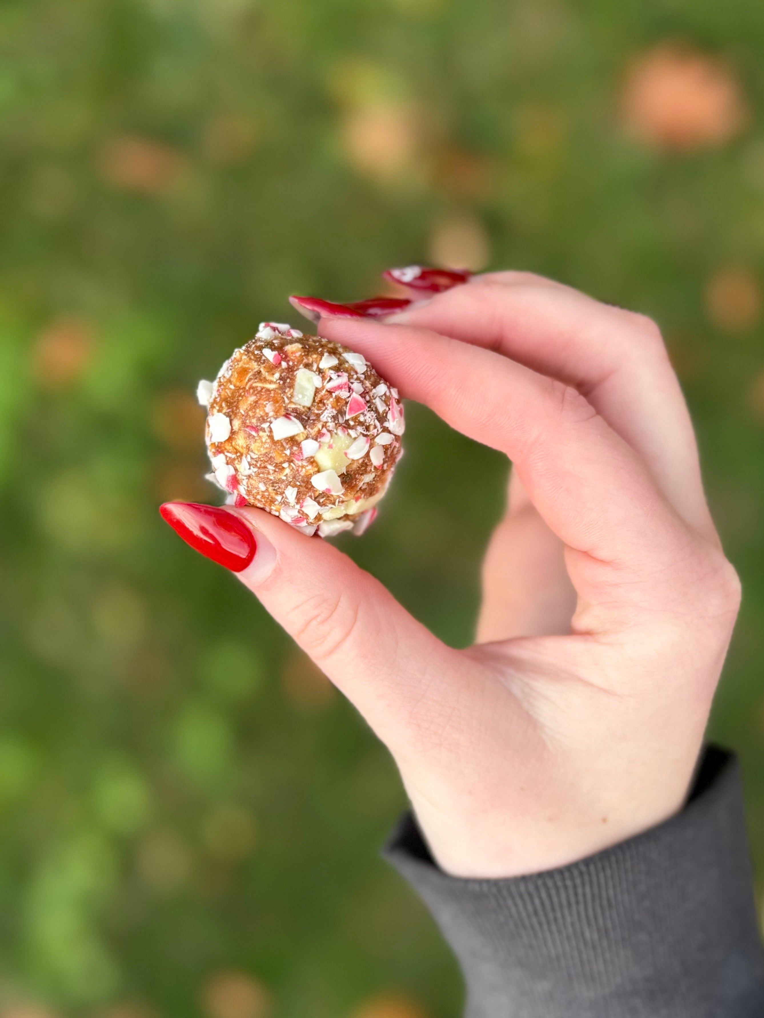 Protein Power balls